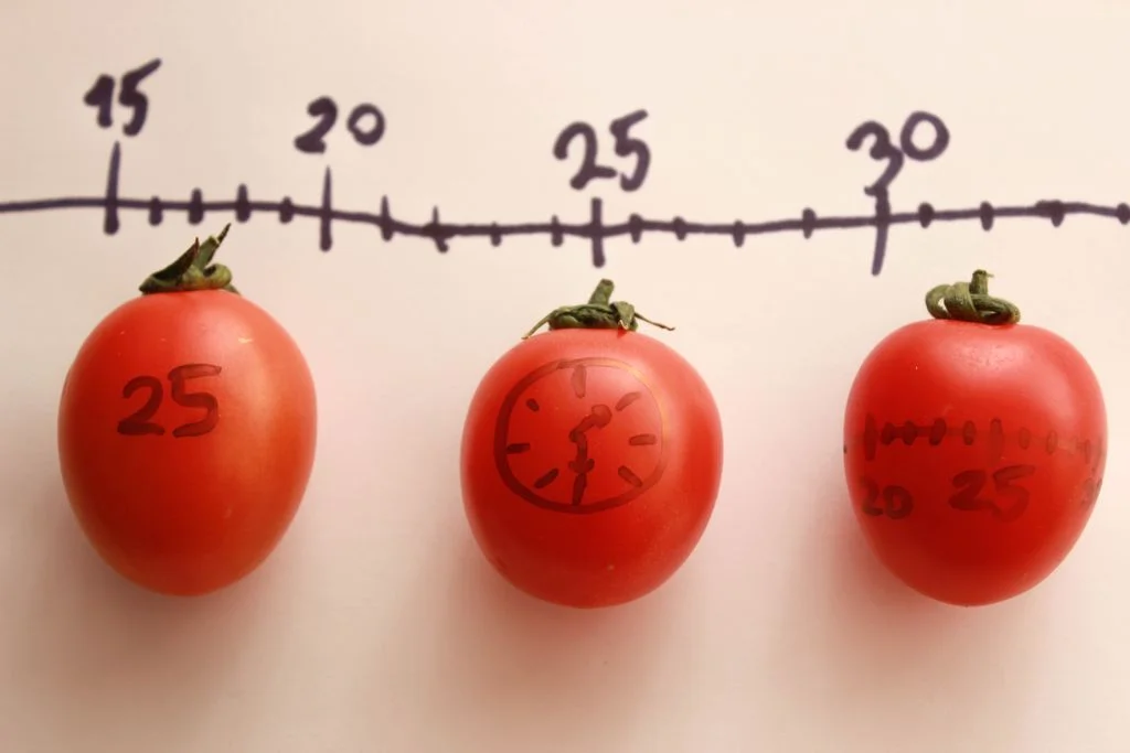 Phương pháp Pomodoro